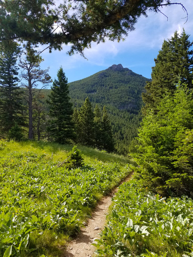 Woodbine Falls Trail, Montana