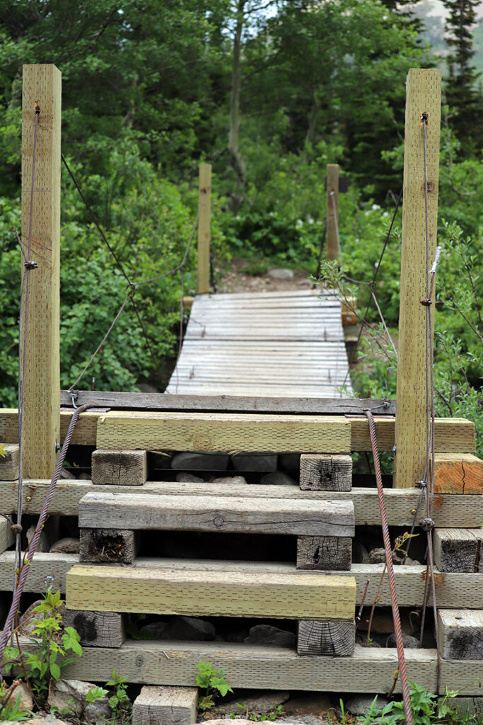 Swinging Footbridge