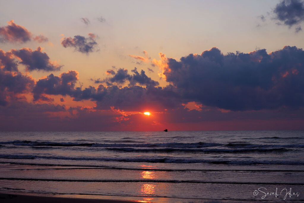 Corpus Christi Sunrise