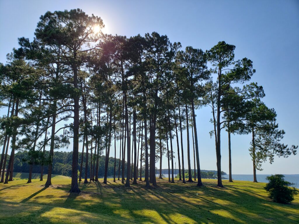 Sam Rayburn Reservoir