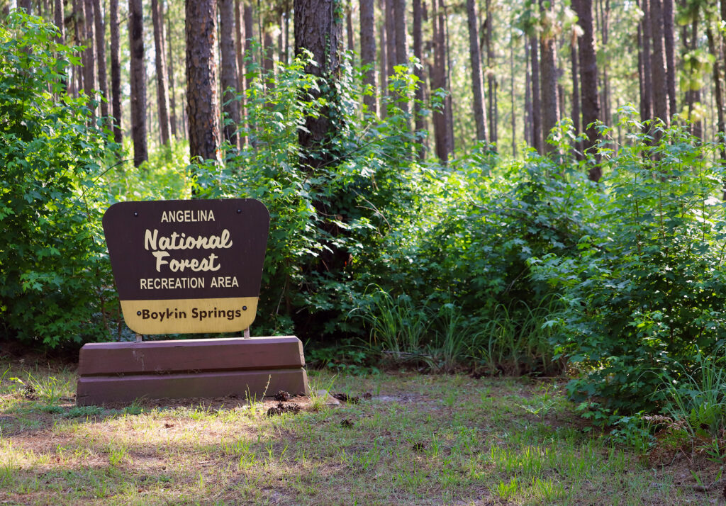 Boykin Springs