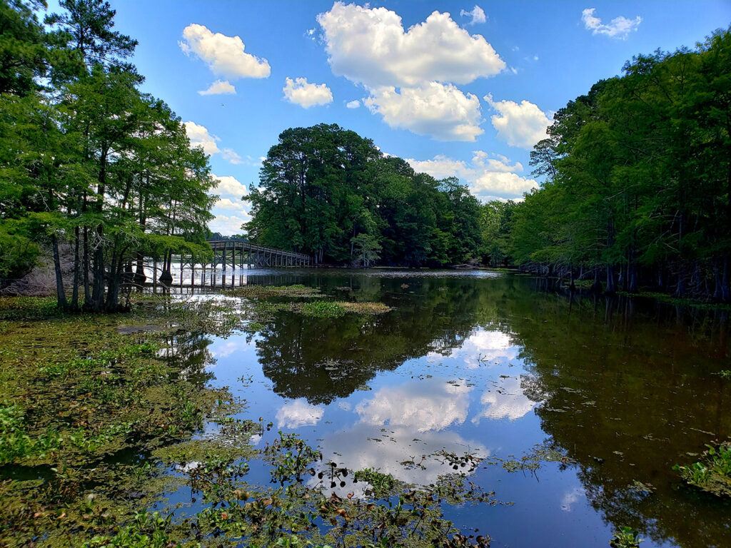 Martin Dies State Park Bridge