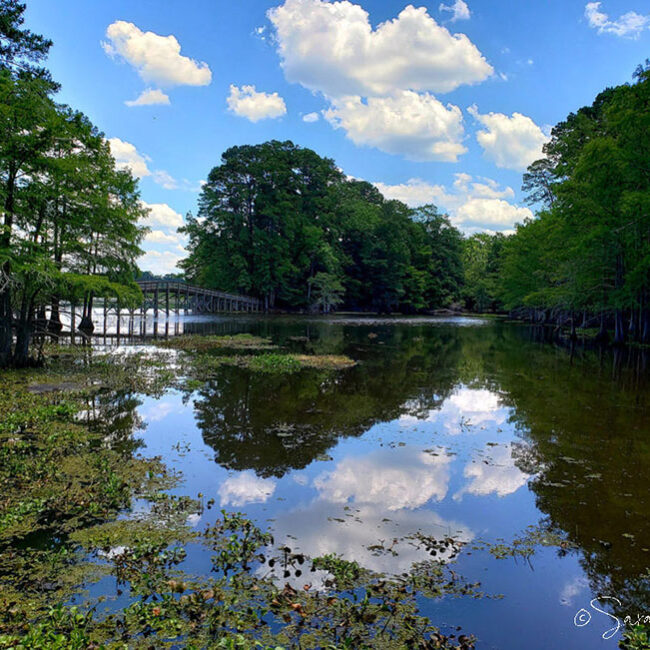 Martin Dies State Park