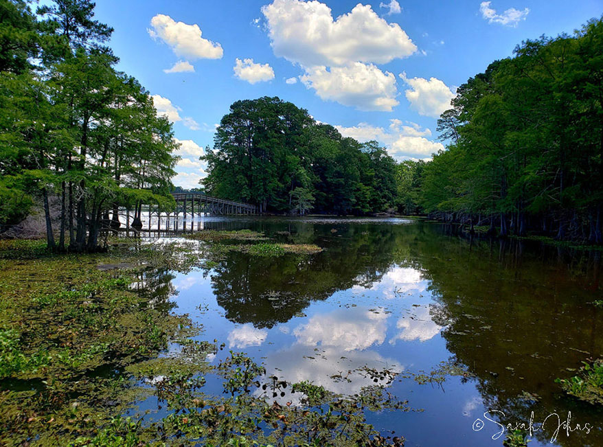 Martin Dies State Park